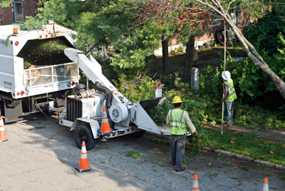 Flower Mound Tree Service