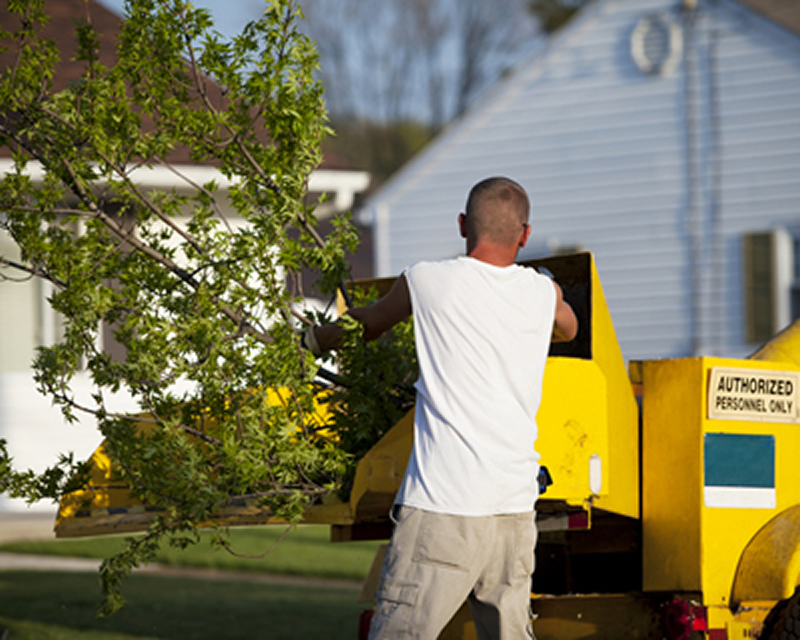Flower Mound Tree Service