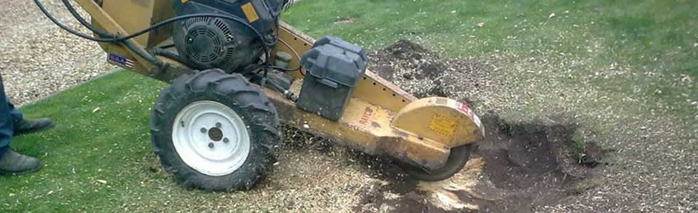 Stump Grinding Flower Mound, Texas